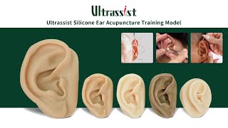 Ear Acupuncture Training  Start with Realistic Silicone Ear Model [upl. by Arney]