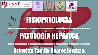 Patología Hepática  Fisiopatología  Briggitte Suarez  2610 [upl. by Zsolway]