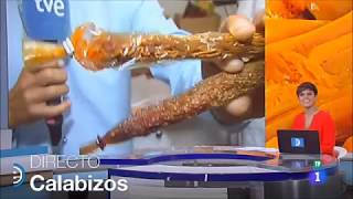 Calabizo en La 1 RTVE España Directo [upl. by Ninette]