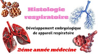 HISTOLOGIE RESPIRATOIRE  Dévlopement embryologique de appareil respiratoire 2éme année médecine [upl. by Ramburt183]