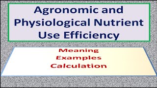 Agronomic and Physiological Nutrient Use Efficiency [upl. by Tevis972]