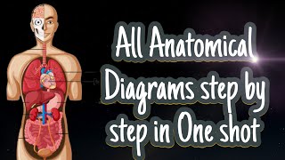 All Anatomical Diagrams step by step in One shotparamedical RPMC Guruvidhya [upl. by Ayna]