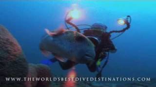 THE WORLDS BEST DIVE DESTINATIONS [upl. by Perla]