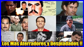 Top 10 Narcos MEXICANOS Más TEMIDOS y PODEROSOS [upl. by Anaer]