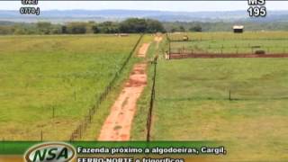 Fazenda com 1150 ha na cidade de Chapadão do Sul MS [upl. by Alver]