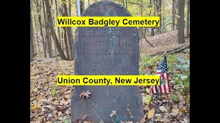 A North Jersey Revolutionary War Patriot The Grave of John Willcox and the Willcox Badgley Cemetery [upl. by Depoliti614]