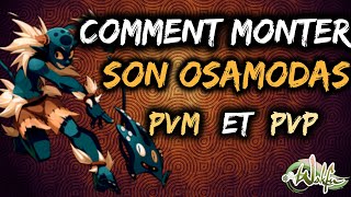 COMMENT BIEN MONTER SON OSAMODAS SUR WAKFU   concours à 15 millions de kamas [upl. by Glaab132]