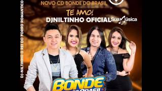 BONDE DO BRASIL 2016 CRIME PERFEITO MAIO DE 2016 [upl. by Acus]