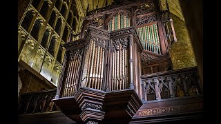 Organ Recital at Sherborne Abbey Dorset January 2023 [upl. by Oryaj]