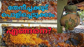 തേനീച്ചകൂടിനെ പൊളിച്ച് പുതിയ കൂട്ടിൽ ആക്കാം  cherutheneecha  stingless Bee transfering [upl. by Lev]