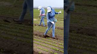 Que habilidad agriculturetechnology farming women skills [upl. by Aiciruam]