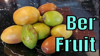 Indian Jujube Review Ziziphus mauritiana  Weird Fruit Explorer Ep 303 [upl. by Sihonn935]