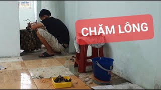 CHIA SẺ VỚI AE CÁC YẾU TỐ ĐỂ CHĂM CB CÓ 1 DÀN LÔNG ĐẸP❤ [upl. by Daveen473]