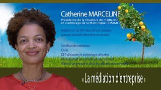 Déjeunerdébat avec Maître Catherine MARCELINE sur la médiation en entreprise [upl. by Deni]