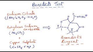 Benedicts Test Practical Organic Chemistry Benedicts reagent [upl. by Saylor]