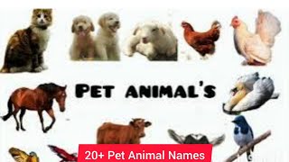 DomesticPet Animal Names in EnglishCute Pet Animal Names With SpellingDogCatRabbit [upl. by Wilma]