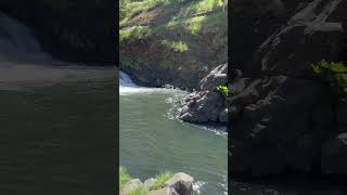 Mosier Plateau Trail Upper Waterfall [upl. by Gonagle]