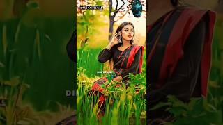 Monem balija salma  santali love 💕 story video [upl. by Ahtaela]