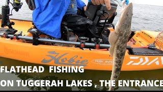 Flathead fishing on Tuggerah Lakes  The Entrance [upl. by Emmer]