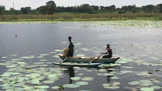 Fishing  village life  pork curry  hi travellers උරූමස් කරිය එක්ක පොල්‍ රොටියි වැව් මාලුයි [upl. by Ignatius]