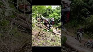 All for a Tree Meow enduro yamaha yz125x dji OsmoAction3 [upl. by Nawuj95]