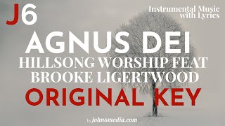 Hillsong Worship  Agnus Dei Instrumental Music with Lyrics Original Key [upl. by Nelluc345]