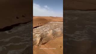 Saudi Arabia The Only Country Without a River information facts trending fyp [upl. by Ozkum852]