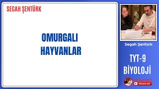 OMURGALI HAYVANLAR  TYT BİYOLOJİ  9SINIF BİYOLOJİ  YKS 2025 [upl. by Urbana]