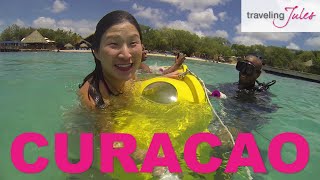 CURACAO Things to Do in Curacao [upl. by Annawal]