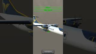 Pulkovo flight 612 crash plane [upl. by Pathe]