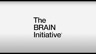 NIH BRAIN Initiative at OHSU [upl. by Arytal803]