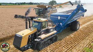 CAT Tractors Harvesting Wheat and Planting Soybeans [upl. by Durstin]