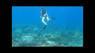 Snorkeling in Bali  6524 [upl. by Gilles521]