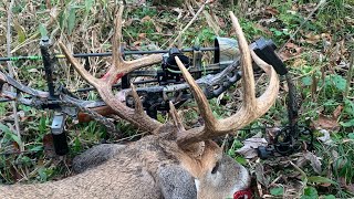 2021 Archery Buck Hunt with Shot [upl. by Kramer]