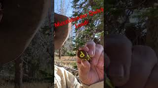 Muzzleloader Quick loads hawken mountainmanoutdoors [upl. by Ennahgiel]