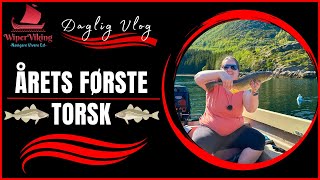 170623  Årets første torsk [upl. by Erreip58]