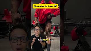 Músculos da Coxa 😱medicina medico academia treino musculação musculacao anatomia enfermagem [upl. by Eerehs]