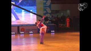 2011 WDSF World Freestyle Latin Polyanskiy  Akhmetgareeva RUS [upl. by Stanleigh182]