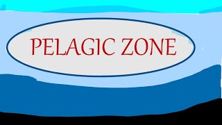 10 PELAGIC ZONE  SEM 5  PAPER 1  AQUATIC BIOLOGY [upl. by Ronny]