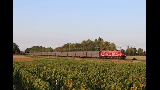 La passion des trains en Bourgogne en septembre [upl. by Leith]