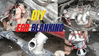 MITSUBISHI ADVENTURE EGR BLANKING HOW TO BLANK PLATE INSTALLATION  SUPER EFFECTIVE MORE POWER [upl. by Renner48]