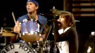 Red Hot Chili Peppers  Parallel Universe  Live at Slane Castle [upl. by Bidle]