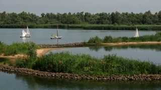 Met een Zilvermeeuw door de Biesbosch [upl. by Guthrey]