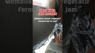 Membuat Pupuk Organik Dari Pupuk Kimia  Fermentasi 24 Jam pupukorganik pupukkimia shorts [upl. by Noruq]