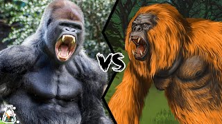 Gorilla VS Gigantopithecus  The only primate that could have defeated a gorilla [upl. by Luhar929]