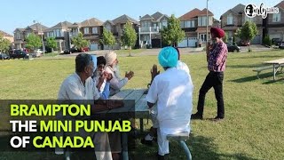 Always Trippin Episode 4  Brampton  The Mini Punjab Of Canada  Curly Tales [upl. by Eintrok]