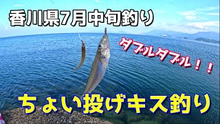 香川県7月中旬 ちょい投げキス釣り！！ダブルダブル！ [upl. by Aviva]