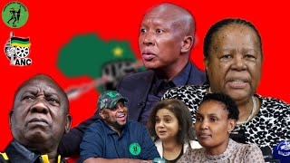 Julius Malema Speaks on MK Party Shivambu Naledi Pandor Scandal GNU VBS and Open Boarder Policy [upl. by Lazaro]