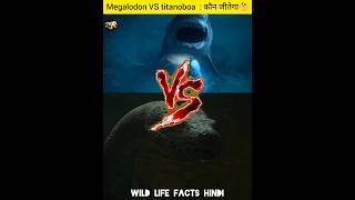 Megalodon Vs Titanoboa  कौन जीतेगा🤔🔥shorts megalodon titanoboa viral [upl. by Sitoiganap384]