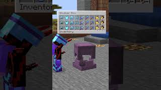 I Created Minecrafts Best Factory lucksmp minecraft smp minecraftsmp [upl. by Ostler]